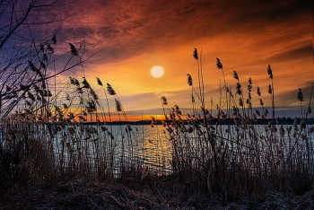 Вечер на озере. / ***