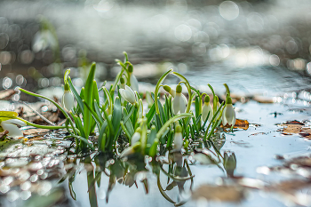 Братец Апрель на пороге. / первое апреля