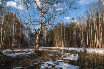 Признаки весны. Тюряха. / Мартовские зарисовки.