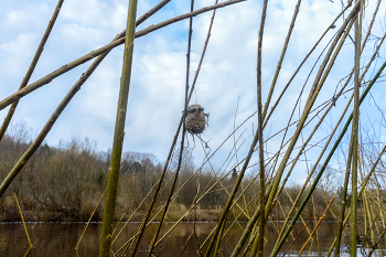 Пейзажизнь / ***