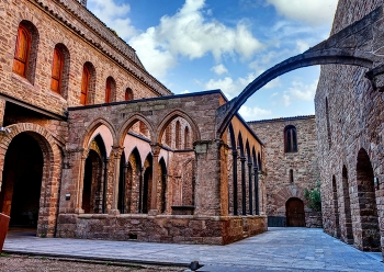 &nbsp; / Cardona - castell (detall) - Bages