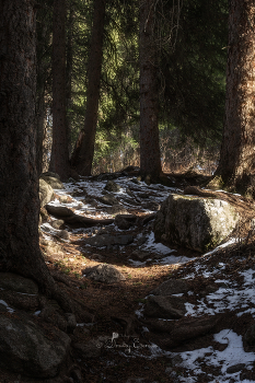 Когда горный лес нашёптывает свои древние легенды... / Поляна Терра
Ущелье Алма-Арасан