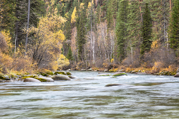 Горная река в Бурятии Ихэ-Ухгунь (большая вода) / Бурятия
