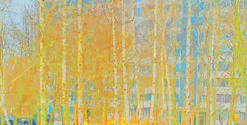 Весна Весной / ***