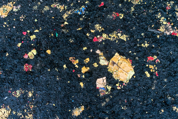 Жизнь вокруг / ***