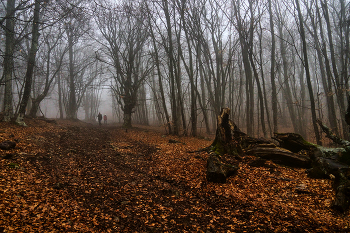 &nbsp; / Крым, Южные склоны Чатыр-Дага