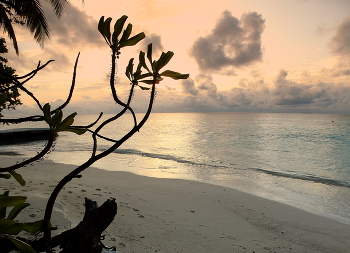 Вечером на берегу моря / Вечером на берегу моря