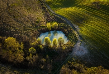 Шепот весны / Шепот весны, 2026