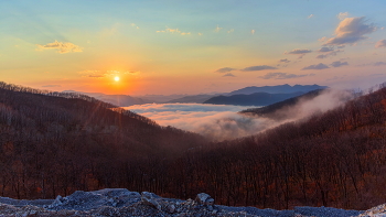Туман на закате / Первые туманы. Хотелось к морю проехать, но долину накрыл наползающий с моря туман... 30.03.26