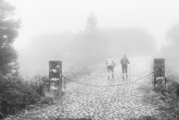 Во все тяжкие / ***