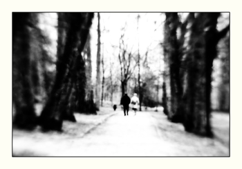 Липы помнят шаги / Усадьба И.Репина