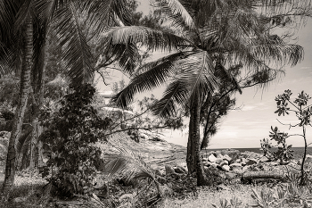 ЧБ пейзаж / Без человечка