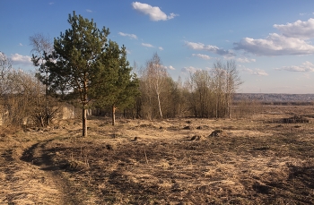 Апрельский мотив / Пригородный сюжет по весне.