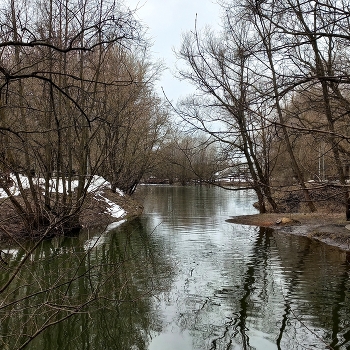 река Городня в Братееве / ***