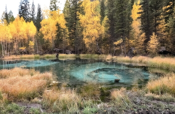 Золотая осень / ***