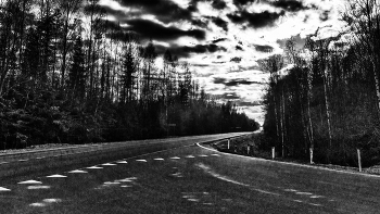 Жизнь вокруг / ***