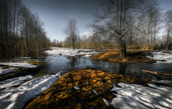 Утро на Пасху.. / Нижегородская область
