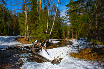 Весенний день / ***