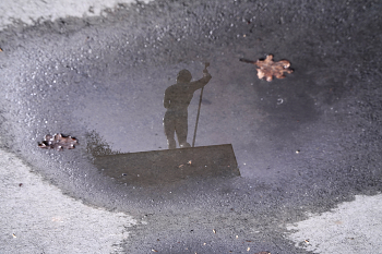 Падение фиговых листочков / ***