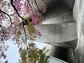 &nbsp; / Blooming tree in front of the all-metal structure