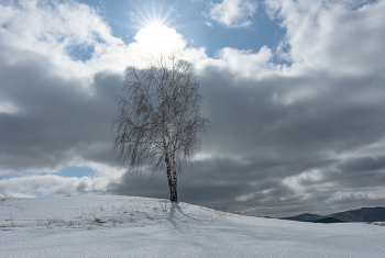 Апрель / Красноярск