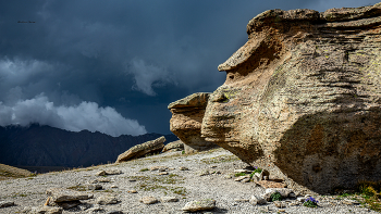 &nbsp; / Природа Приэльбрусья