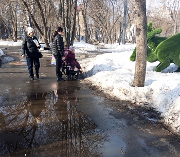 Встреча в пути / парк весеннего периода