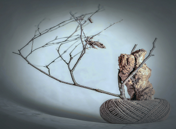 Клубок. / Натюрморт.