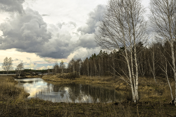 &nbsp; / весенний пейзаж в непогоду