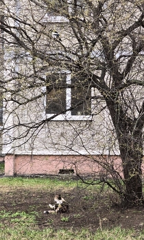 Разговор / ***