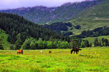Лунная поляна / Кавказ, Архыз. 2013-й год. Ныне здесь отели