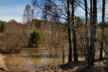 Весенним днём. / **Томская область.*