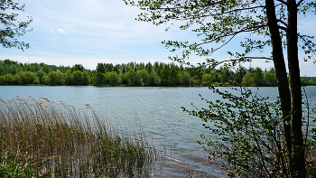 У озера. / Цнянское водохранилище. Минск. Беларусь.