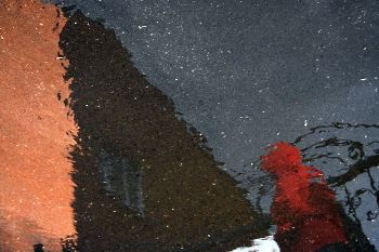 &nbsp; / ***