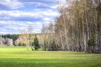 Ранняя весна... / ***