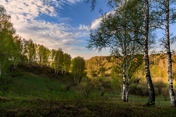 Весна в разгаре / Весна в разгаре