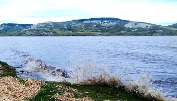 волна / Волга