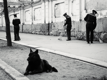 Старшина. / ***