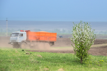 Посевная... / ***