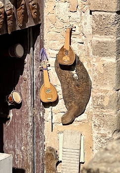 &nbsp; / A music instrument shop in Morocco