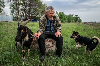 Старик... / ***