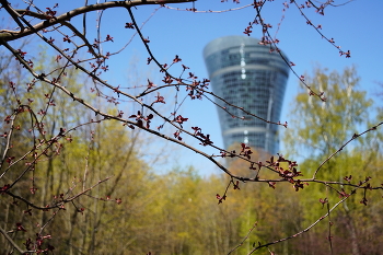 Ранняя весна в Городе / ***