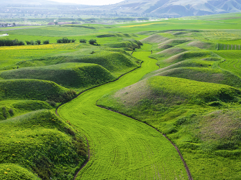 Green River / ***