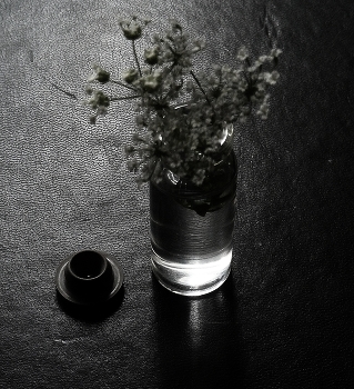 шагрень. / ***