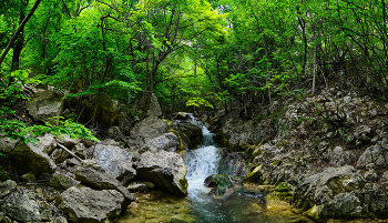 В каньоне реки Узунджа* / Крым, июнь