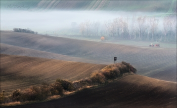 Утро на Мораве / Чехия, Южная Моравия.
(с) phototravel.pro