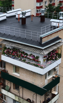 Оазис / Оазис
