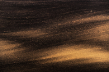 Пейзаж с косулей / Чехия, Южная Моравия.
(с) https://phototravel.pro/phototravel2026