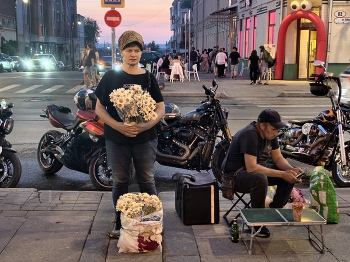 ромашки / гоод
