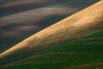 ABSTRACTION / Кукурузное поле было.. 
Теперь будет молодой рапс :) 
Чехия, Южная Моравия 
© PHOTOTRAVEL.PRO